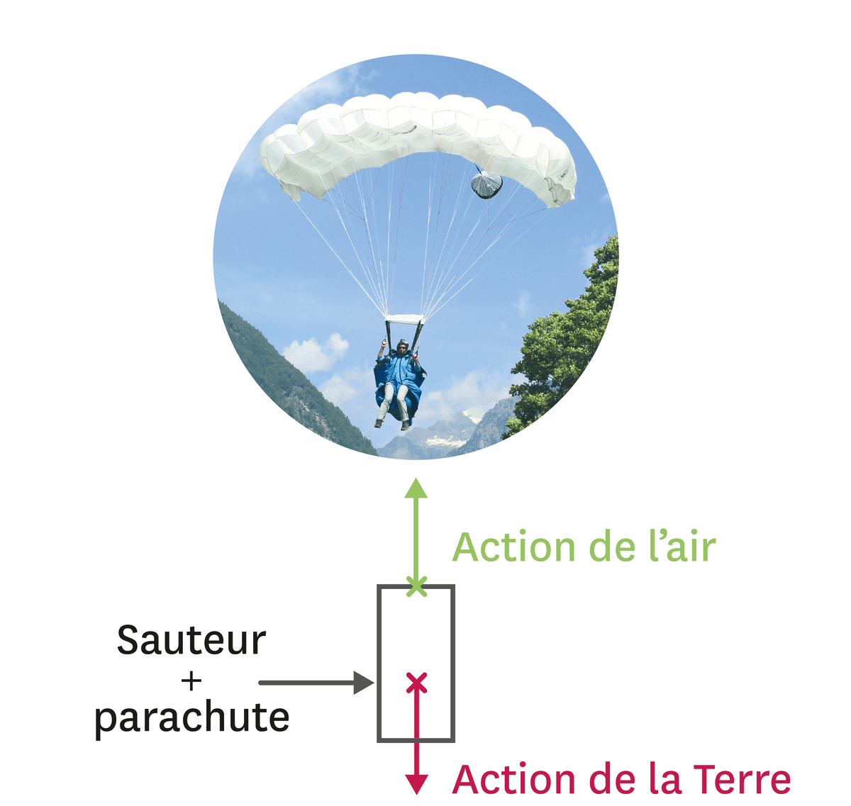 Modélisation des actions subies par le système « sauteur + parachute ».