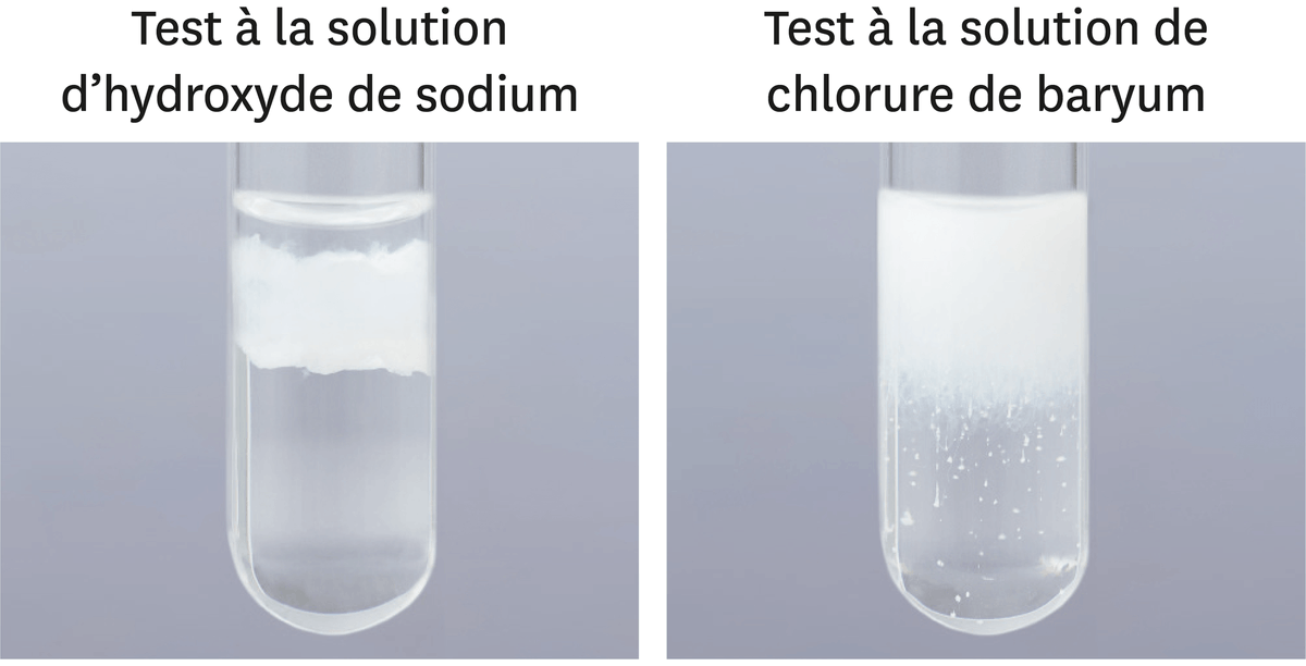 <stamp theme='pc-green1'>Doc. 2</stamp> Tests d'identification réalisés sur la solution obtenue à la fin de la réaction (voir significations au chapitre précédent).