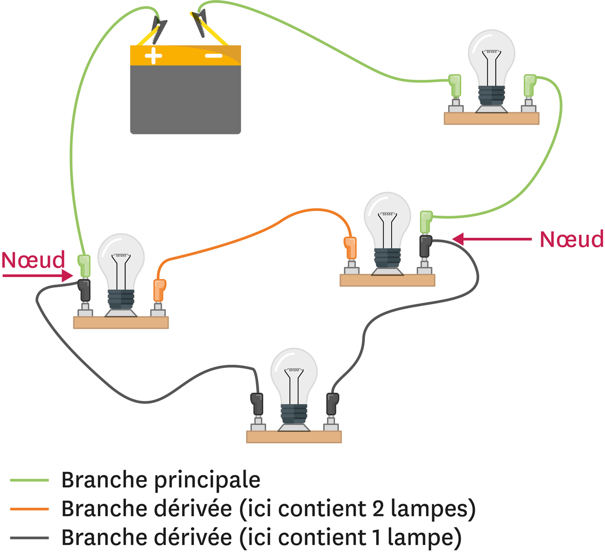 les branches dans un circuit électrique.