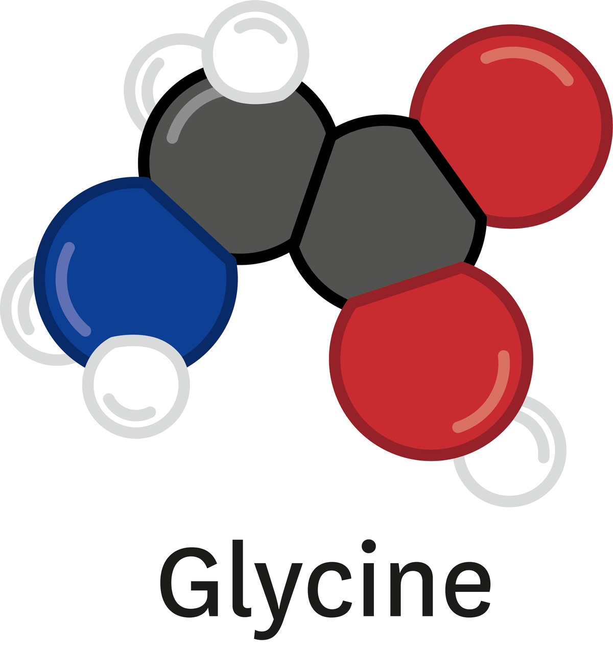 Glycine.