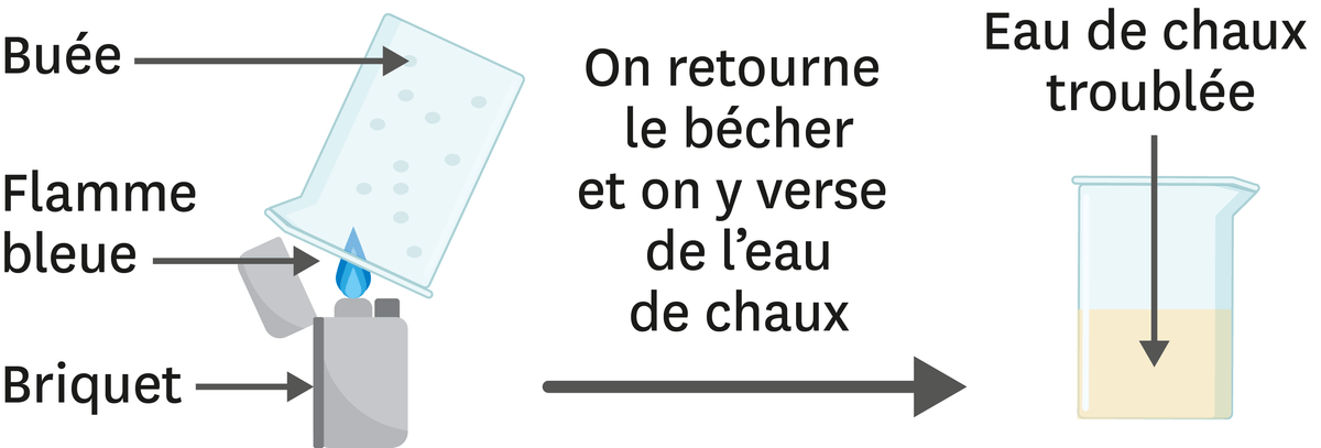 <stamp theme='pc-green1'>Doc. 3</stamp> Analyse une expérience.