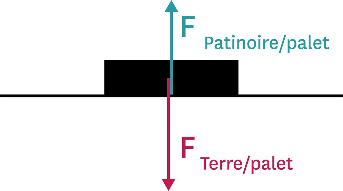 <stamp theme='pc-green1'>Doc. 2</stamp> Forces exercées sur un palet de hockey immobile sur la glace.