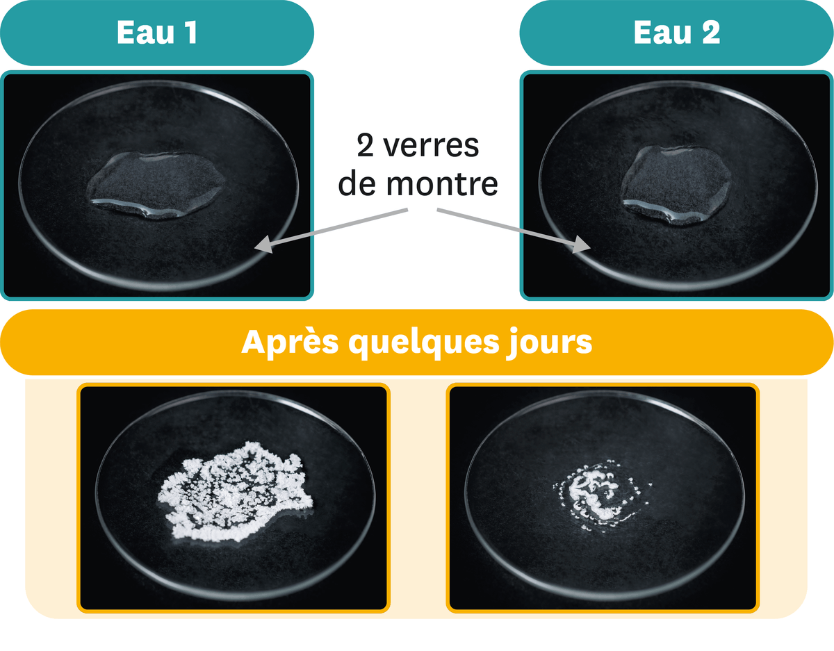 Deux verres de montre.