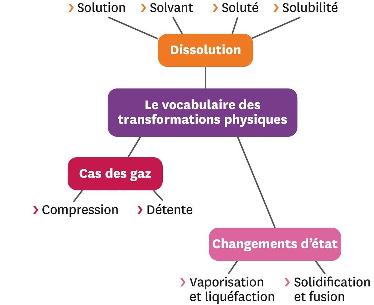 <stamp theme='pc-green1'>Doc. 1</stamp> Exemple de carte mentale.
