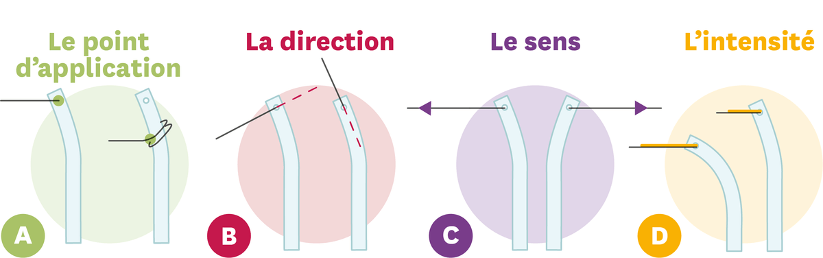 Quatre informations importantes pour décrire l'action mécanique qui déforme la baguette souple.
