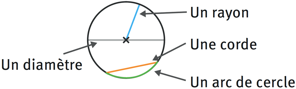 Illustration d'un cercle avec un diamètre, un rayon, une corde et un arc de cercle mis en évidence.