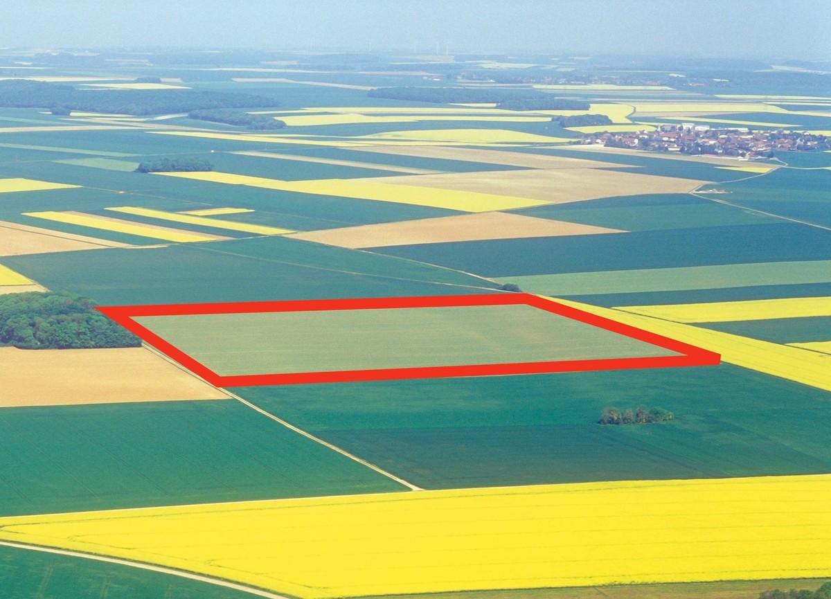 Photographie aérienne de plusieurs champs en différentes nuances de vert et jaune. L'un d'eux, l'un des lopins à léguer, est entouré en rouge