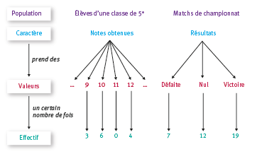 Exemple d'arbre statistique.