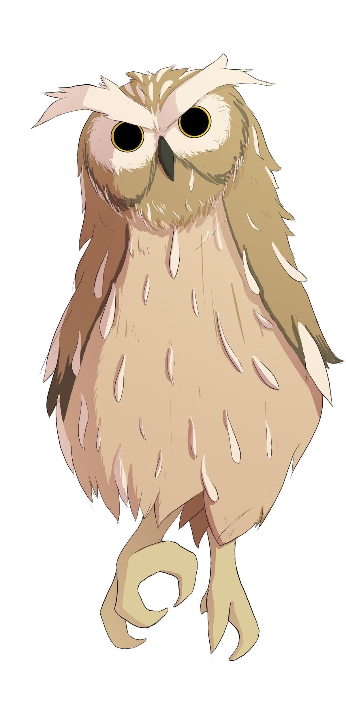 Owl