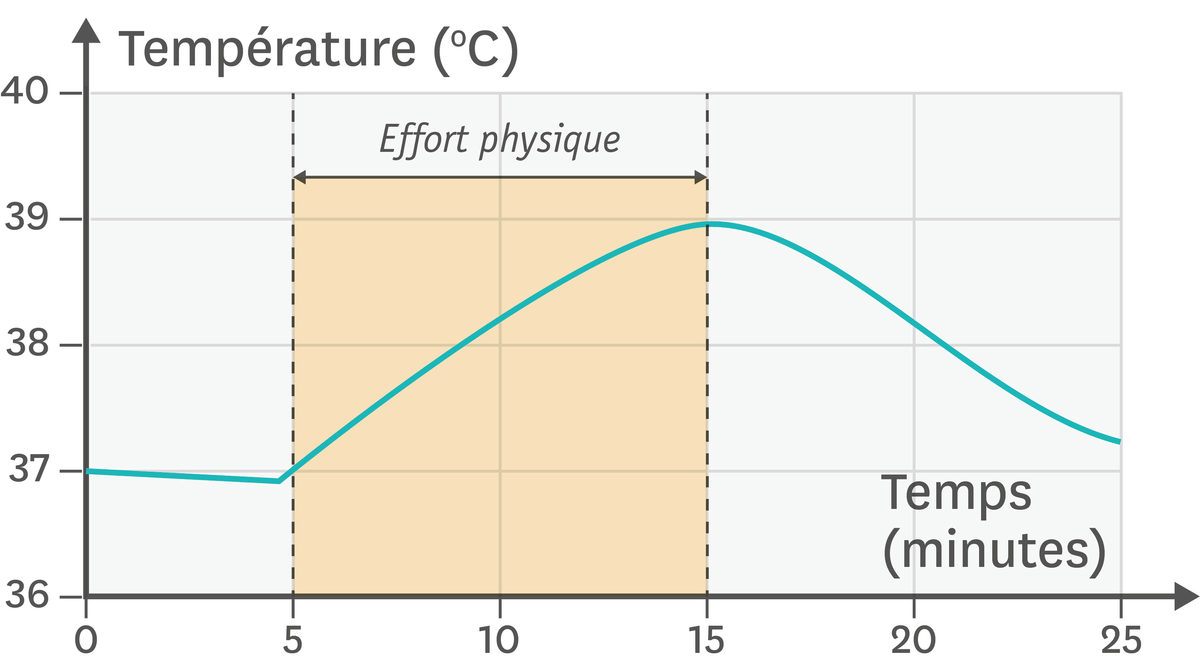 Les variations de la température corporelle en fonction du temps et de l'activité.