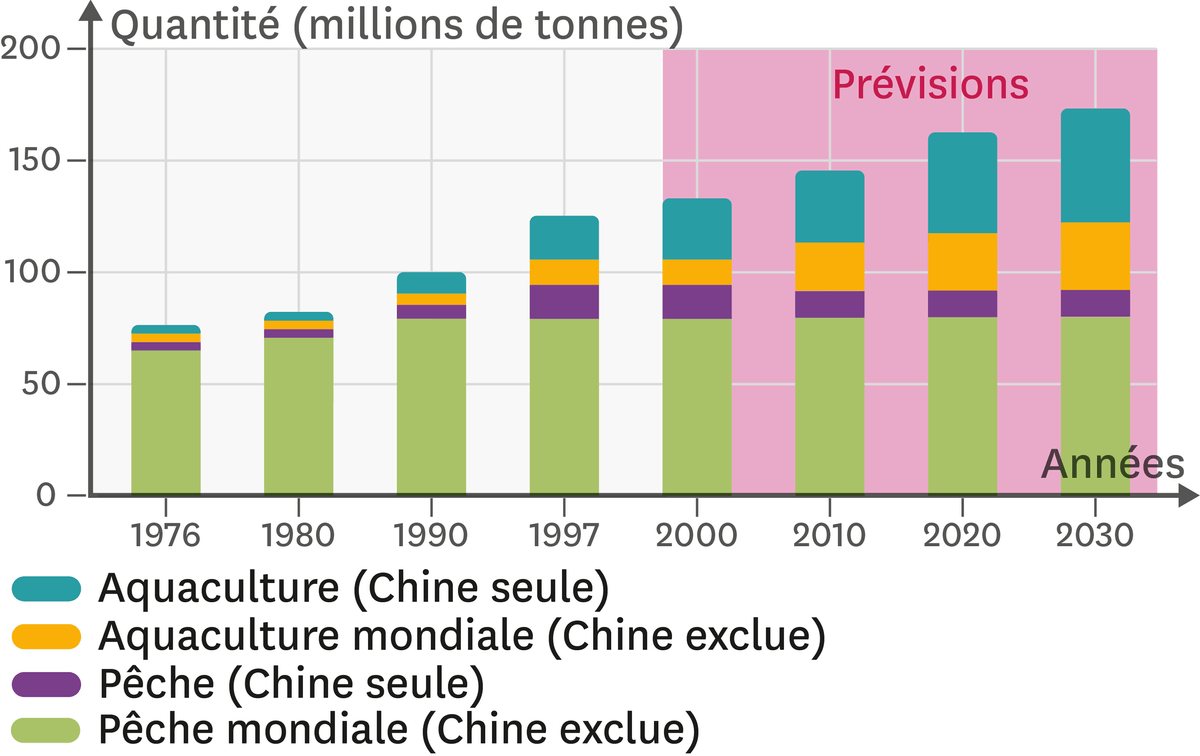 Quel Est L’impact Des Activités Humaines Sur Les Océans ...