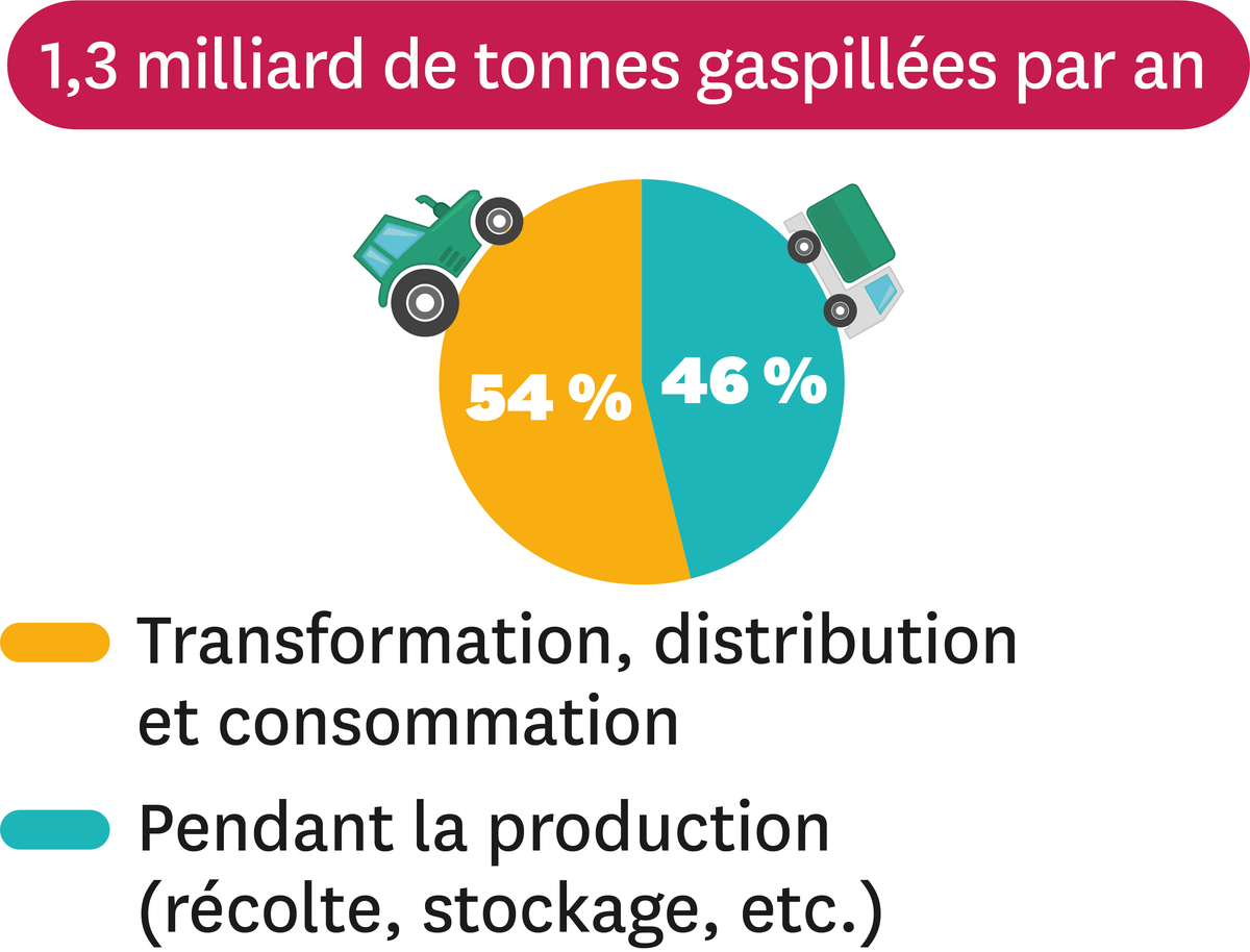 Schéma sur le gaspillage des aliments dans le monde.