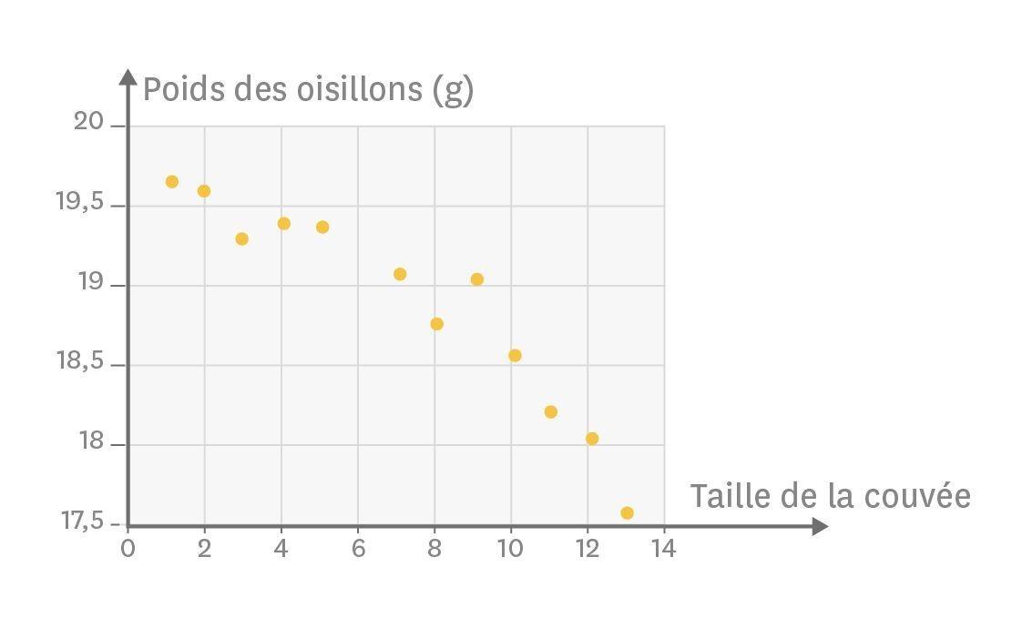 Graphique de la relation entre la taille de la couvée et le poids des oisillons chez la mésange (Parus major).