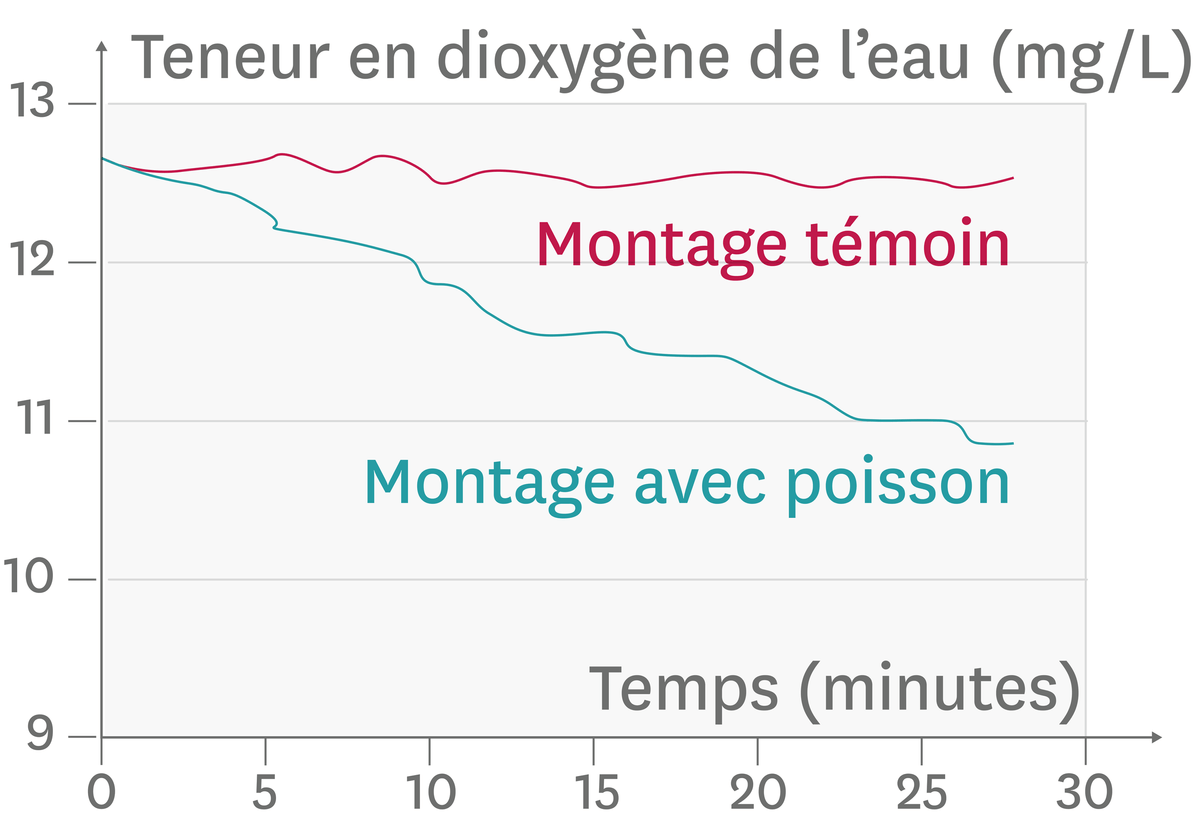 Graphique des variations de la teneur en dioxygène dans l'eau en présence ou non d'un poisson.