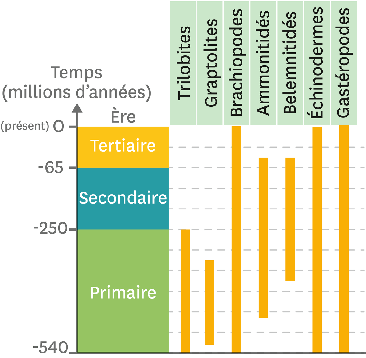 graphique d'une répartition de quelques fossiles marins au cours des temps géologiques.