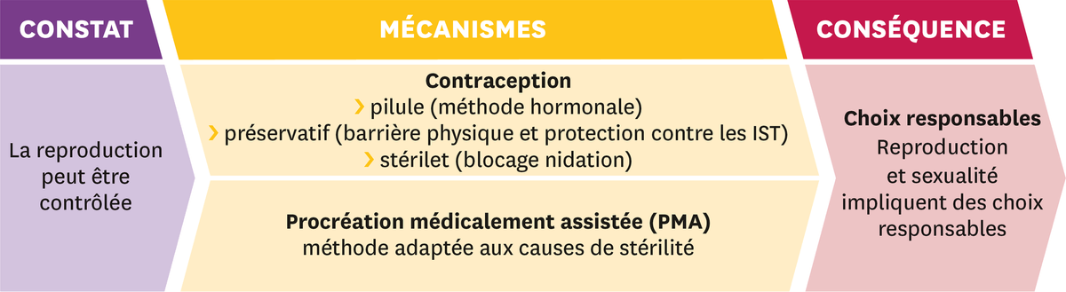 Schéma représentant trois étapes : 1- le constat = La reproduction peut être controlée ; 2 - les mécanismes = Contraception : pilule (méthode hormonale), préservatif (barrière physique et protection contre le IST), stérilet (blocage nidation), Procréation médicalement assistée (PMA) : méthode adapté aux xauses de stérilité ; et 3 - les conséquences : choix responsable : Reproduction et sexualité impliquent des choix responsables 