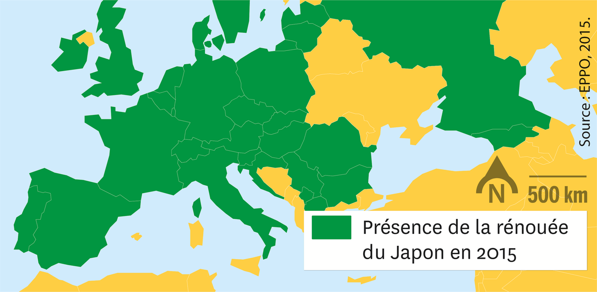 Carte de l'europe où l'on peut voir la répartition de la renouée du japon en 2015