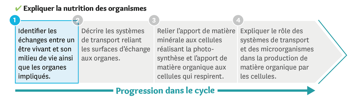 Illustration de la progression dans le cycle: étape 1: Identifier les échanges entre un être vivant et son milieu de vie ainsi que les organes impliqués. 