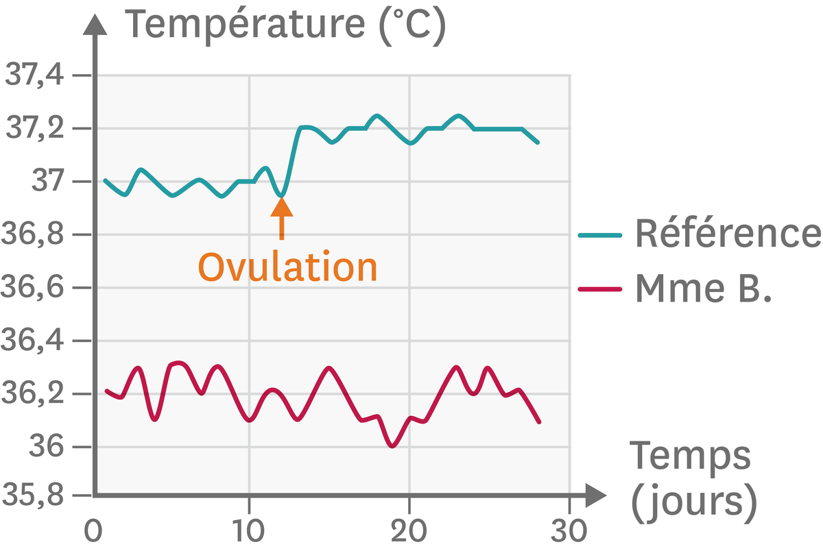 Graphique d'un suivi des températures au cours d'un cycle féminin chez Mme B. et une femme fertile.