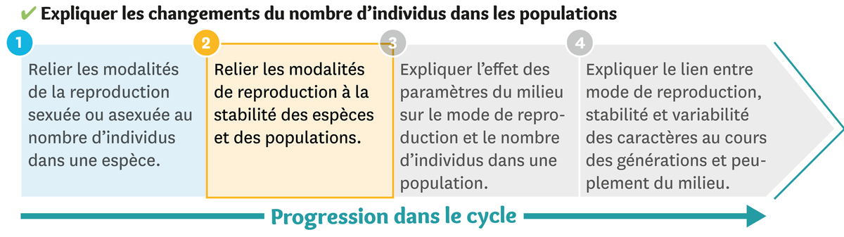 Illustration de la progression dans le cycle: étape 2: relier les modalités de reproduction à la stabilité des espèces et des populations.