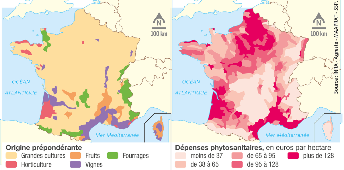 L'utilisation des produits phytosanitaires en France durant les années 2000.
