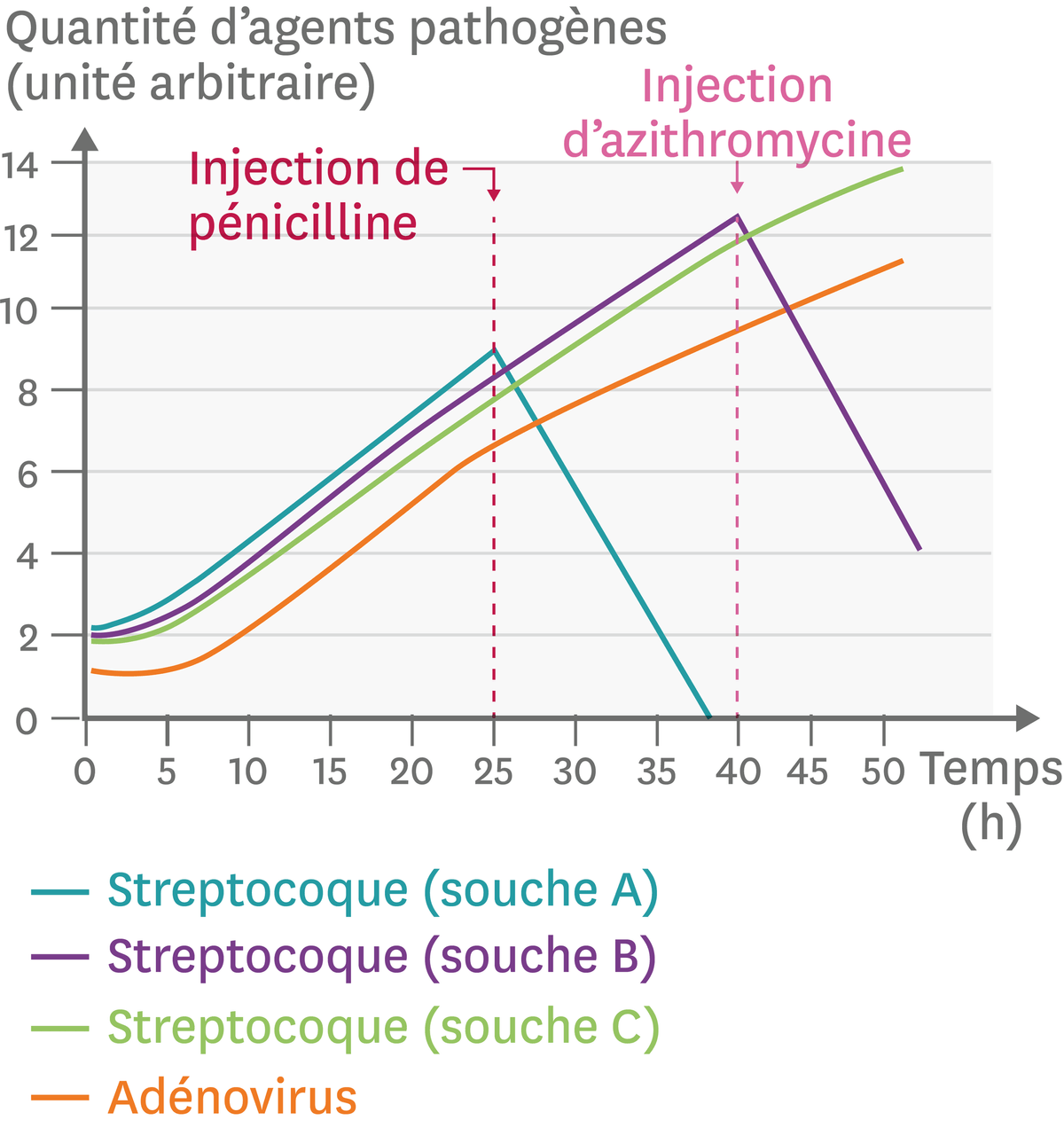 L'effet de deux antibiotiques (la pénicilline et l'azithromycine) contre trois souches différentes d'une bactérie ou contre un virus.
