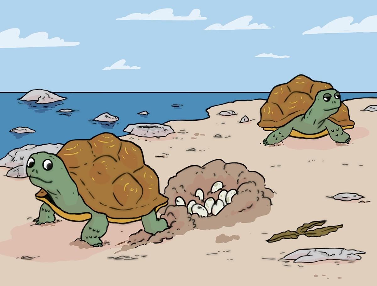 Une reconstitution du paléoenvironnement de Gandaillat à partir d'indices :  une illustration de tortues en train de pondre des oeufs sur une plage.