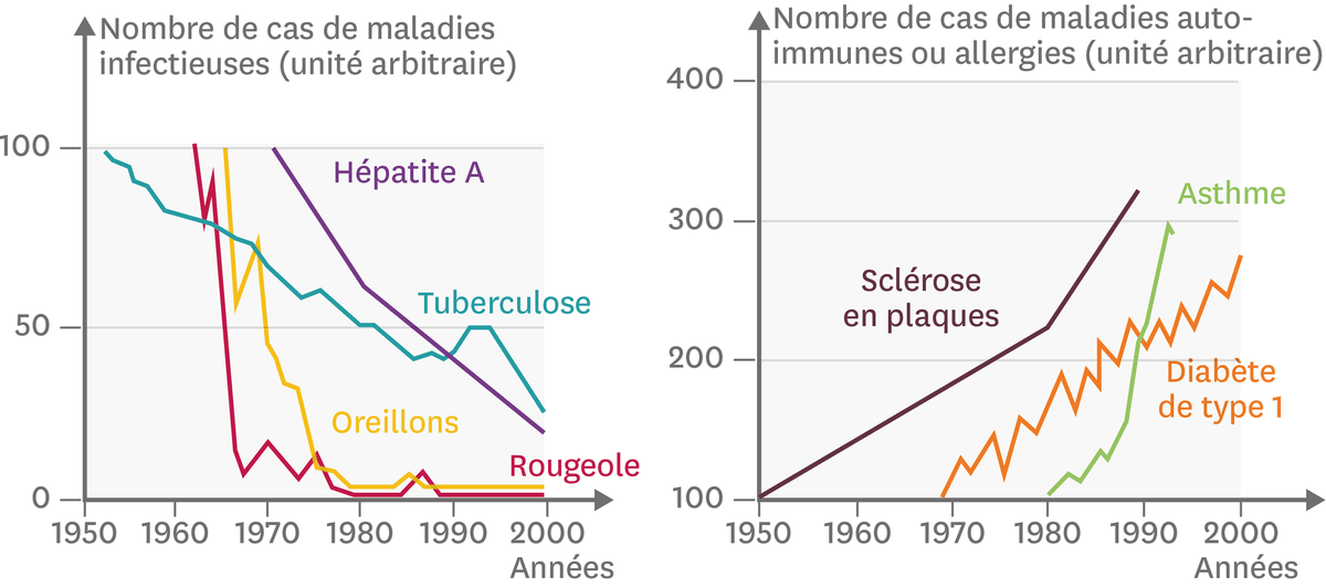 La variation relative du nombre de cas d'infections et de maladies auto-immunes depuis 1950 dans les pays développés.