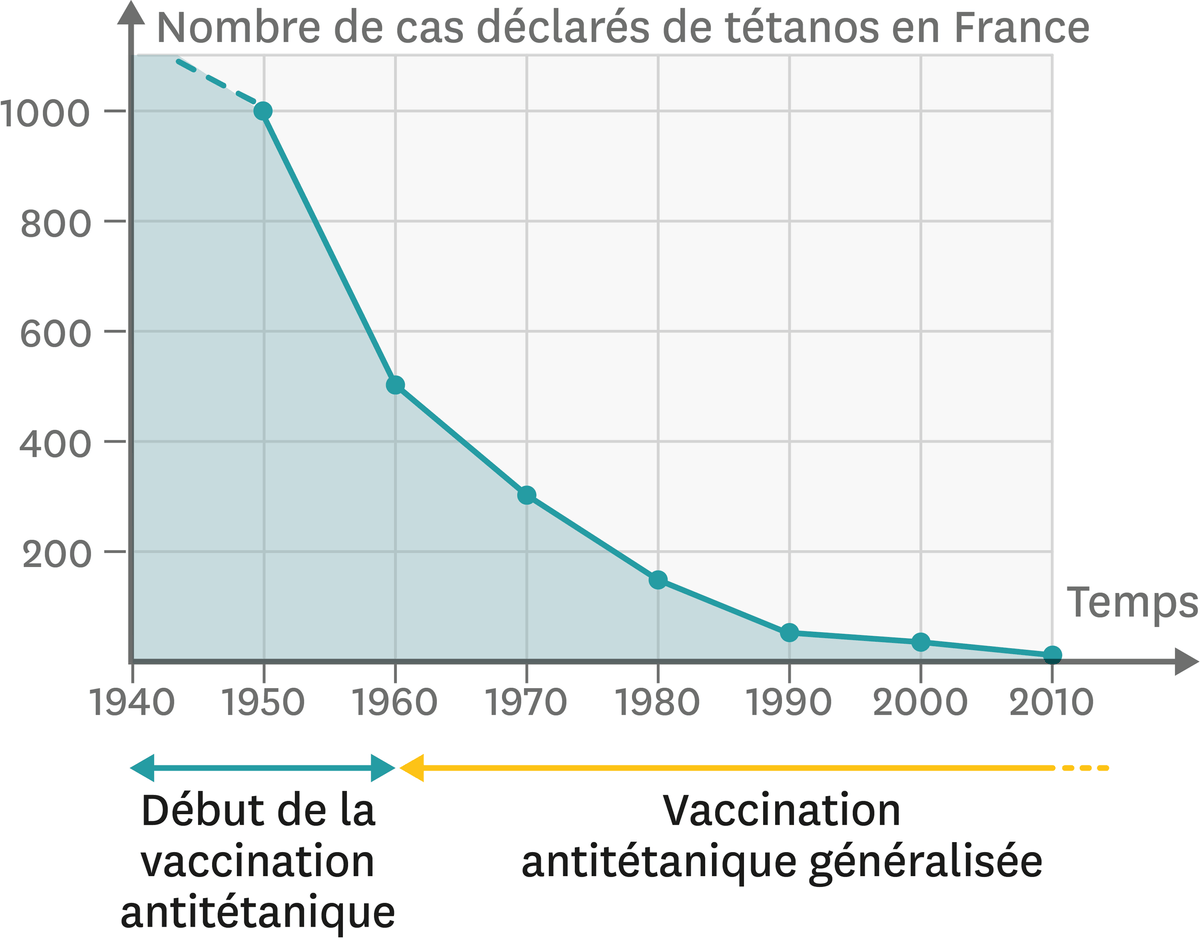 Nombre de cas déclarés de tétanos en France depuis 1940.