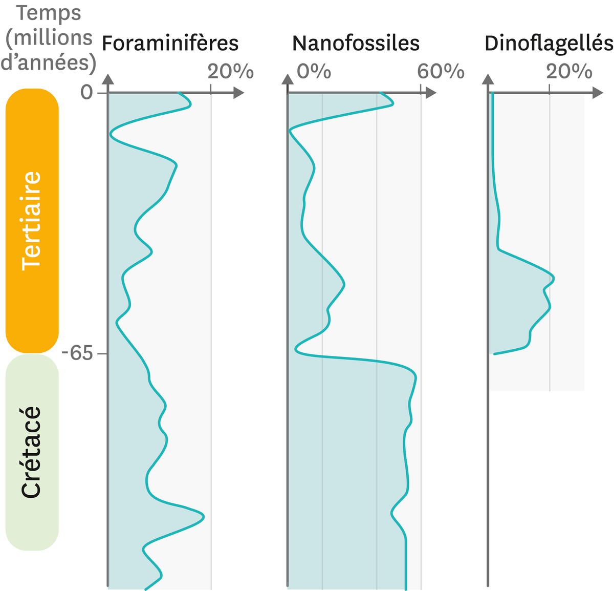 La fréquence de quelques fossiles microscopique dans les roches du site de Bidart en France, au niveau du Crétacé et du Tertiaire.