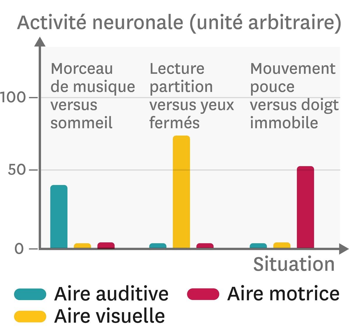 L'activité des neurones dans différentes zones cérébrales.