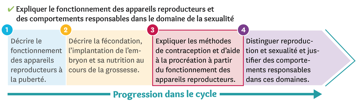 Illustration d'une progression dans le cycle du fonctionnement des appareils reproducteurs et des comportements responsables dans le domaine de la sexualité