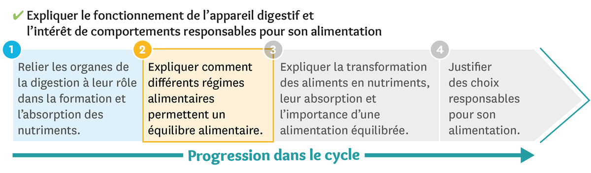 Progression dans le cycle du fonctionnement de l'appareil digestif et l'intérêt de comportements responsables pour son alimentation
