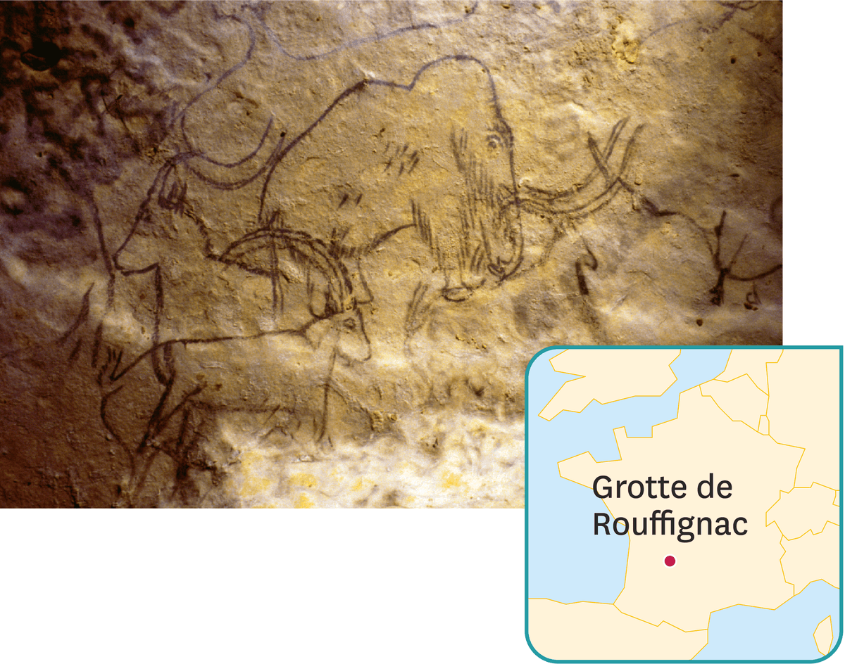 Des dessins réalisés il y a 13 000 ans dans la grotte des 100 mammouths à Rouffignac (Périgord).