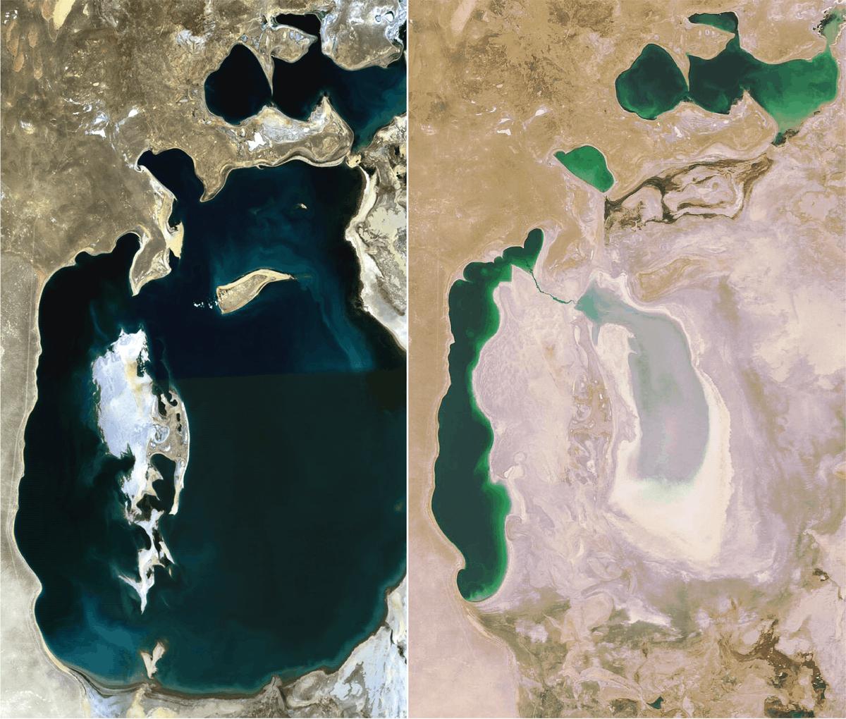 Des images satellite de la Mer d'Aral en 1989 et 2008. On voit que le niveau de l'eau a drastiquement baissé entre ces années.