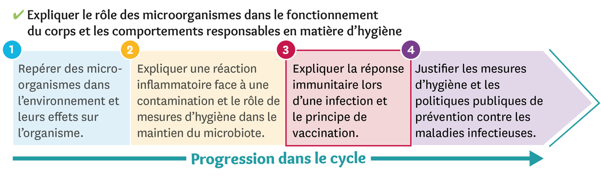 Illustration de progression dans le cycle du rôle des microorganismes dans le fonctionnement du corps et les comportements responsables en matière d'hygiène