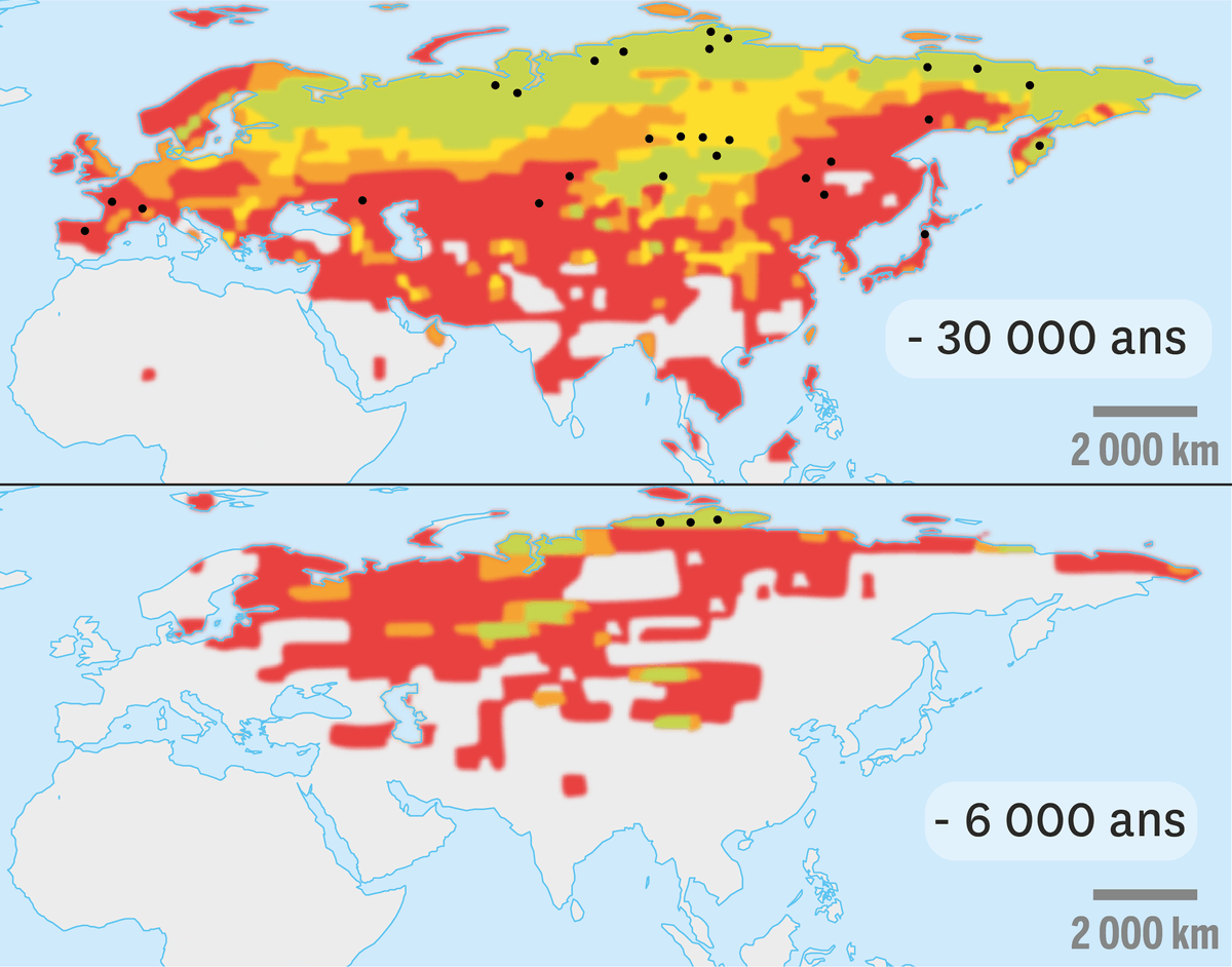 Des reconstitutions des zones climatiques favorables au développement de la steppe-toundra.