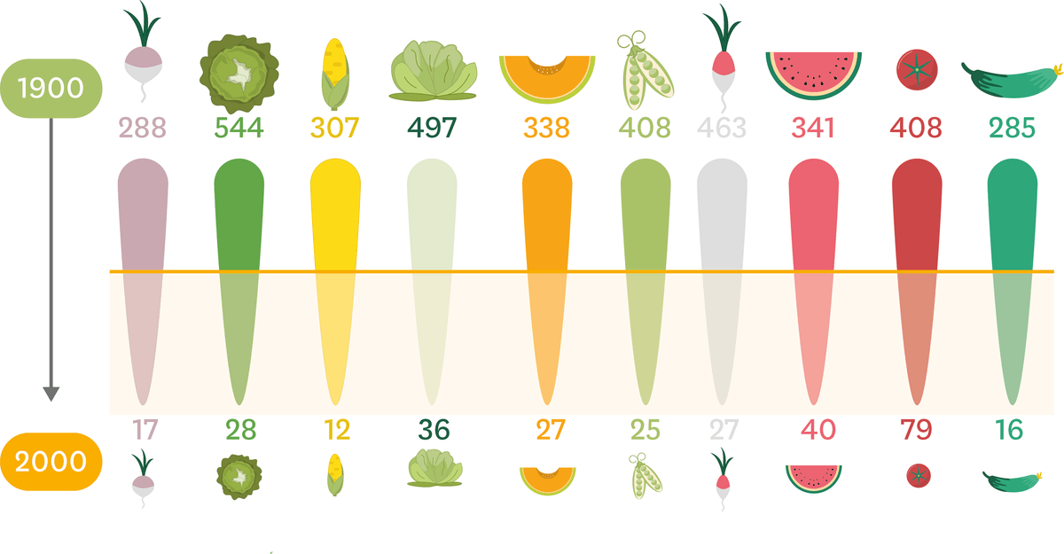 Le nombre de variétés de fruits et légumes en 1900 et 2000. 