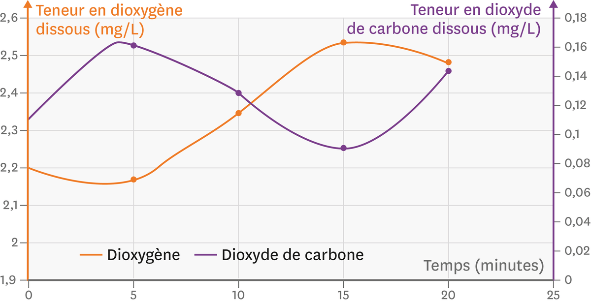 Les quantités de gaz (dioxygène et dioxyde de carbone) émis par une feuille d'élodée en fonction du temps.