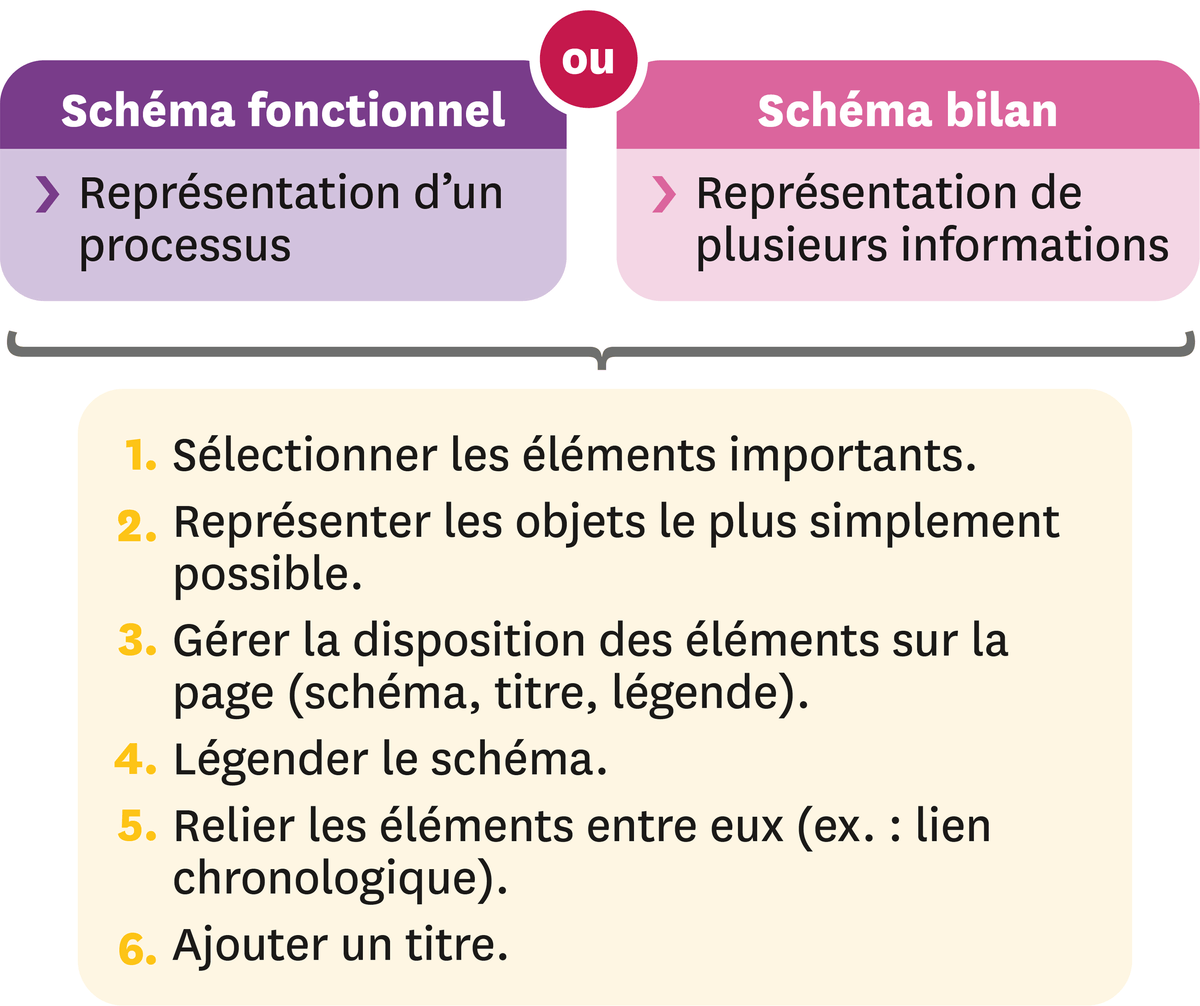 Les points clés de la réalisation d'un schéma.
	On peut faire un schéma fonctionel qui est la représentation d'un processus ou un schéma bilan qui est la représentation de plusieurs informations.
  Etapes : 
  1. Sélectionner les éléments importants
  2. Représenter les objets le plus simplement possible
  3. Gérer la disposition des éléments sur la page (schéma, titre, légende)
  4. Légender le schéma
  5. Relier les éléments entre eux (ex : lien chronologique)
  6. Ajouter un titre