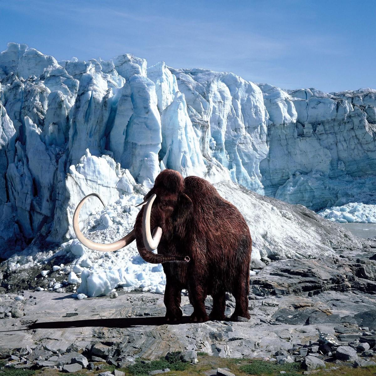 Montage photographique d'une mammouth devant une falaise de glace.