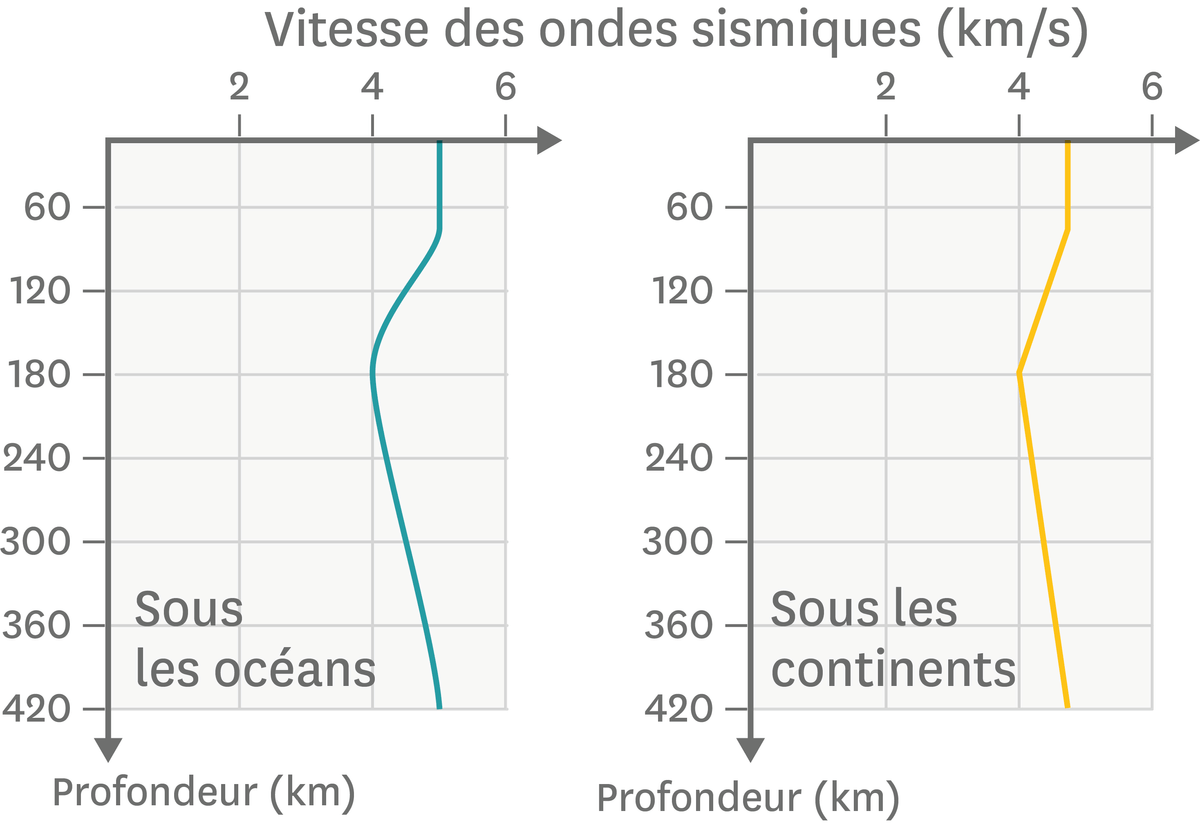 Graphiques représentant la vitesse des ondes sismiques en fonction de la profondeur terrestre.