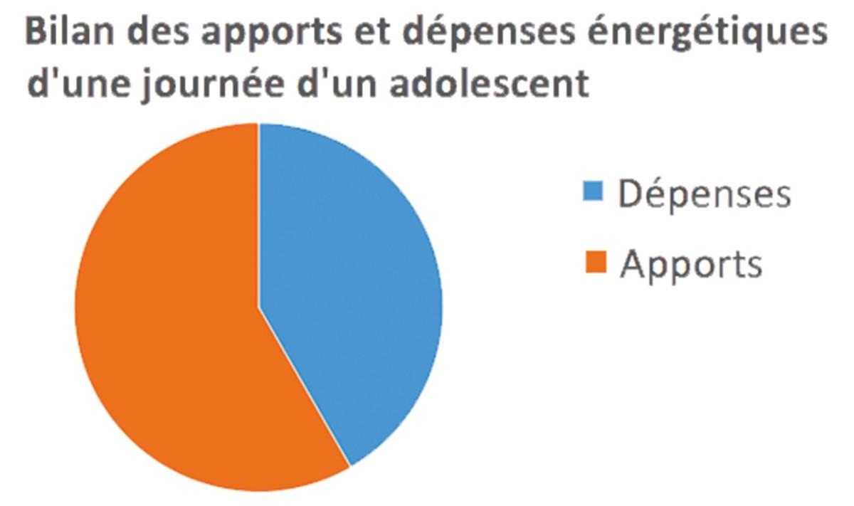 Bilan des apports et dépenses énergétiques d'une journée d'un adolescent