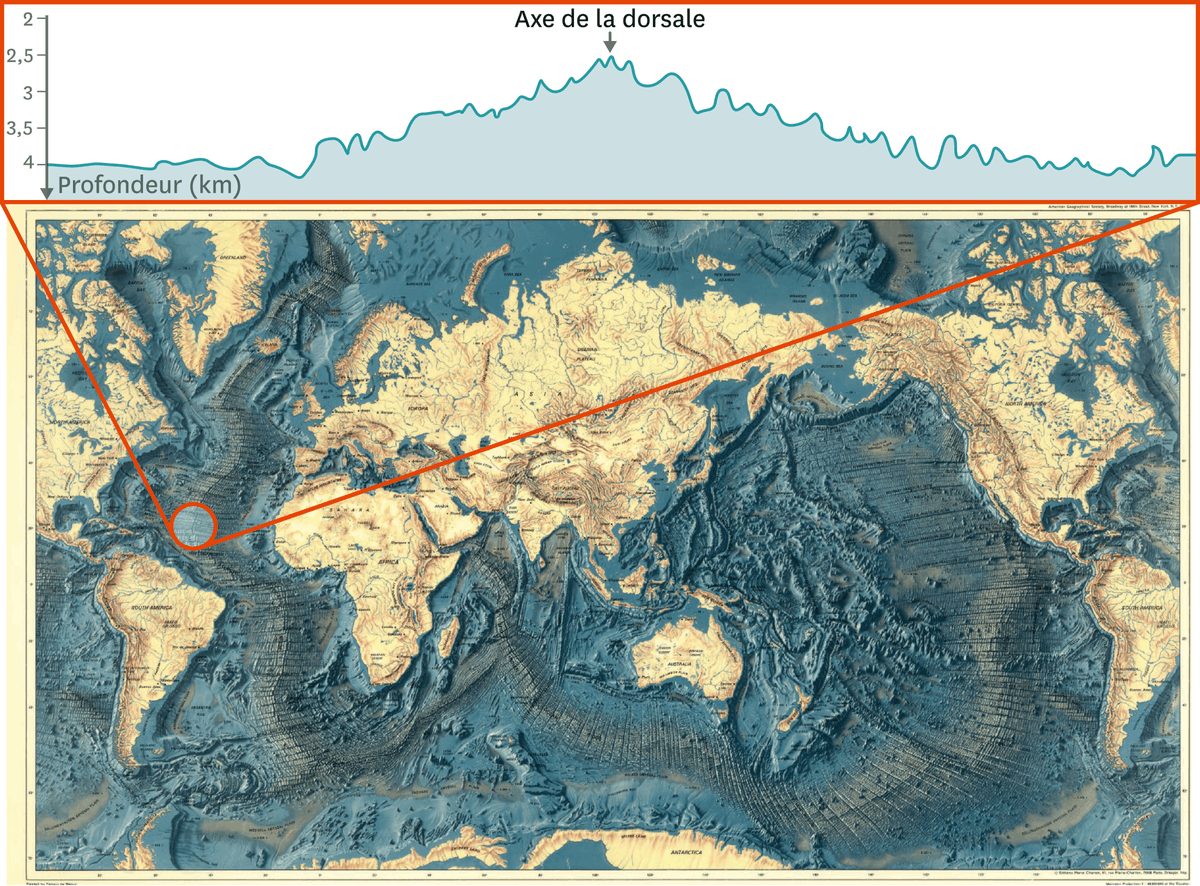 La carte des reliefs des fonds marins et une coupe au niveau de la dorsale Atlantique Nord.