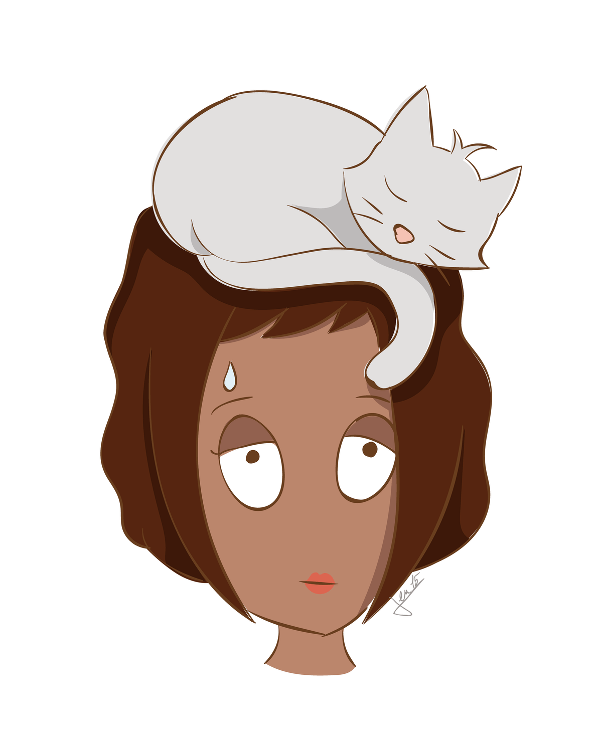 Ex. 1 Un chat prudent