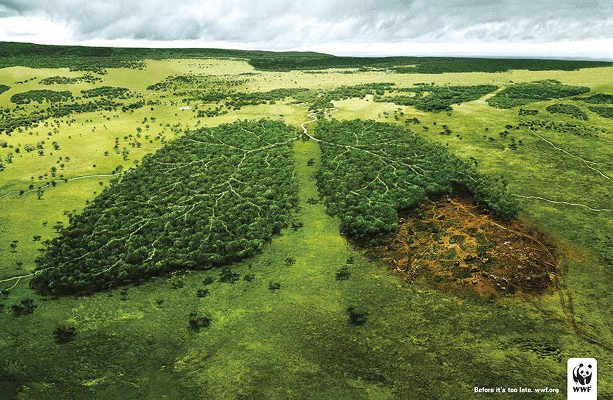 campagne de sensibilisation du WWF contre la déforestation.