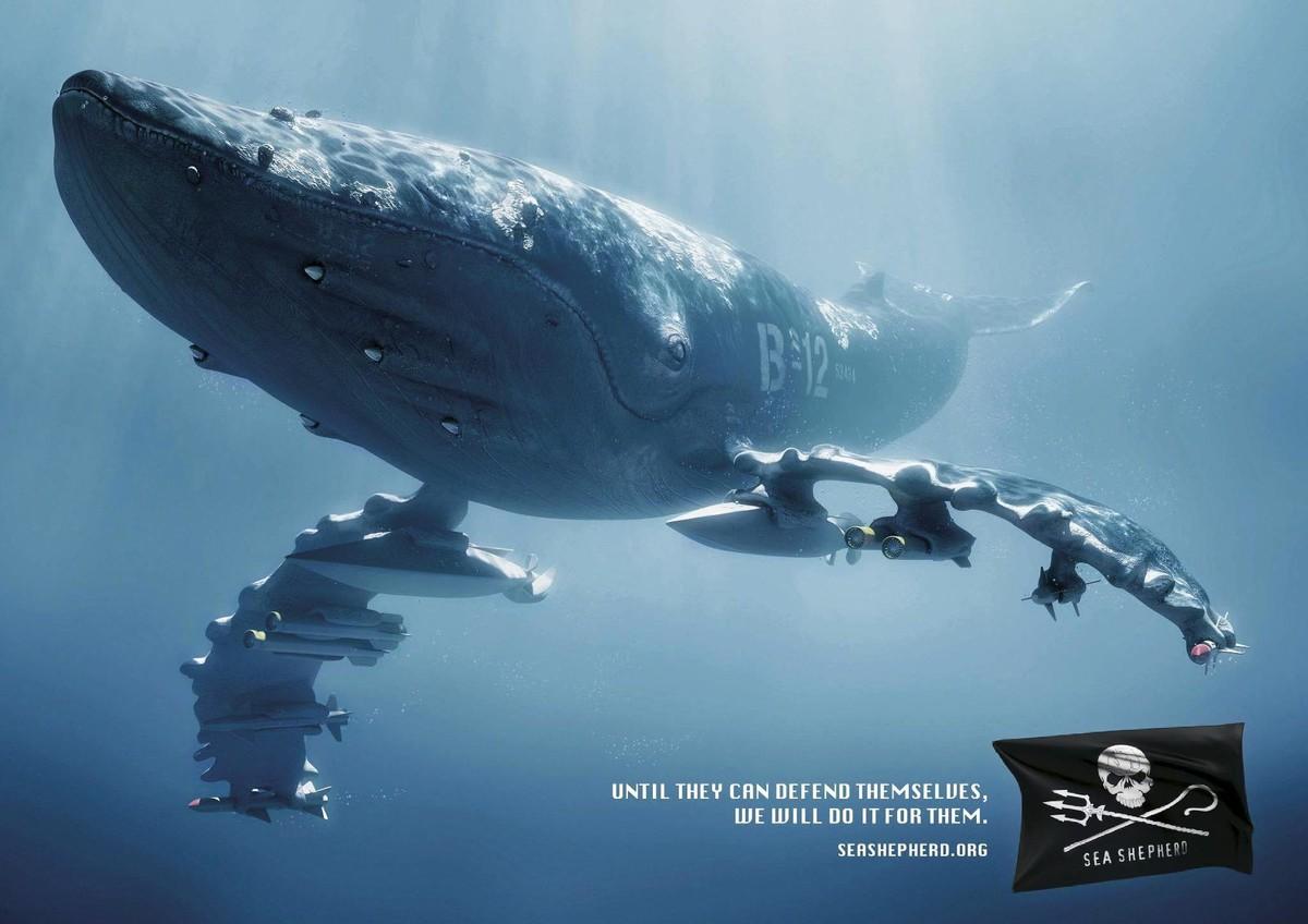 affiche sea sheperd