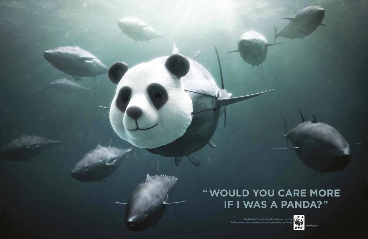 campagne de communication pour la protection du thon rouge, WWF