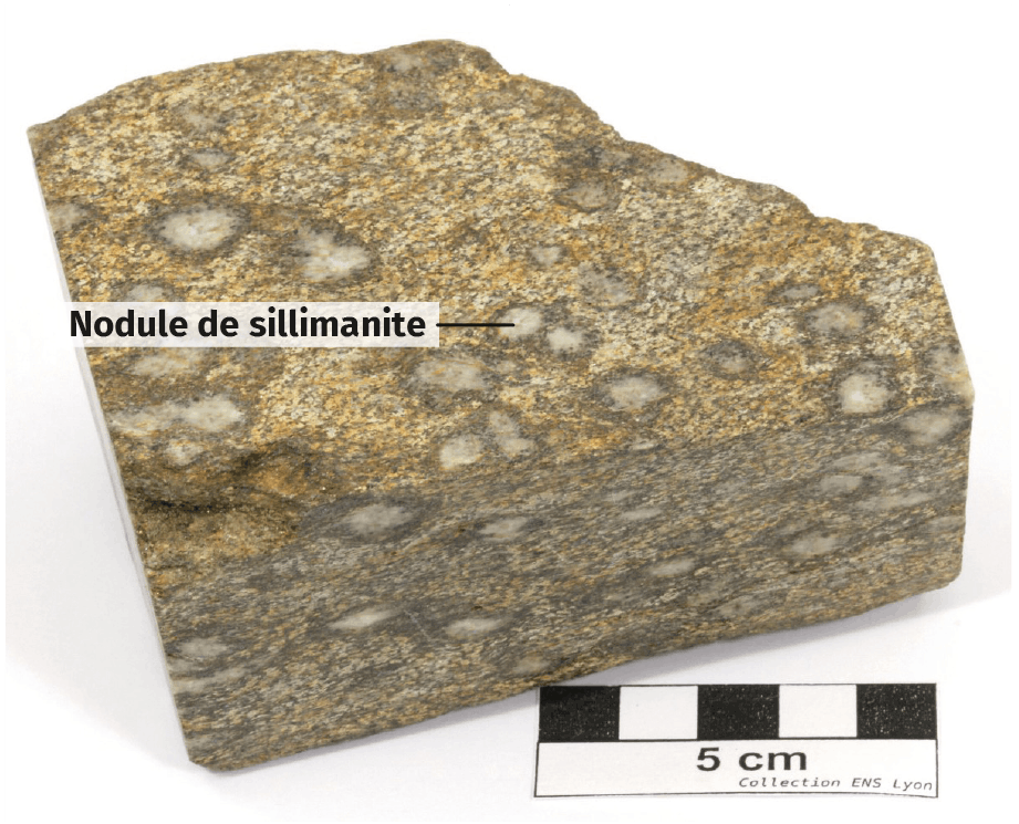 L'atelier des apprentis Lelivrescolaire.fr — free download